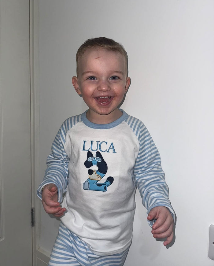 Bluey Inspired Number Sets
