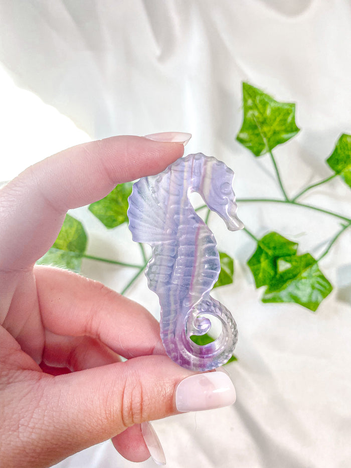Fluorite Seahorse