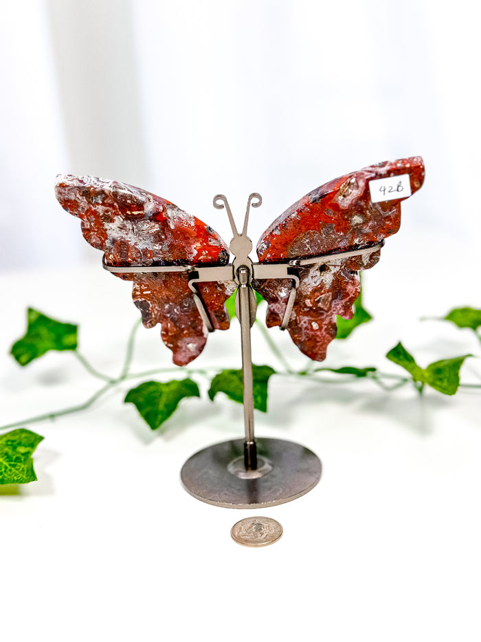 Mexican Crazy Lace Agate Butterfly on Stand (42B)