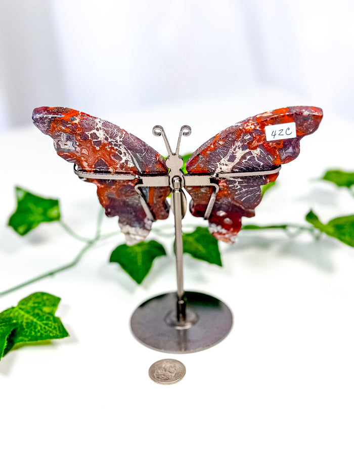 Mexican Crazy Lace Agate Butterfly on Stand (42C)