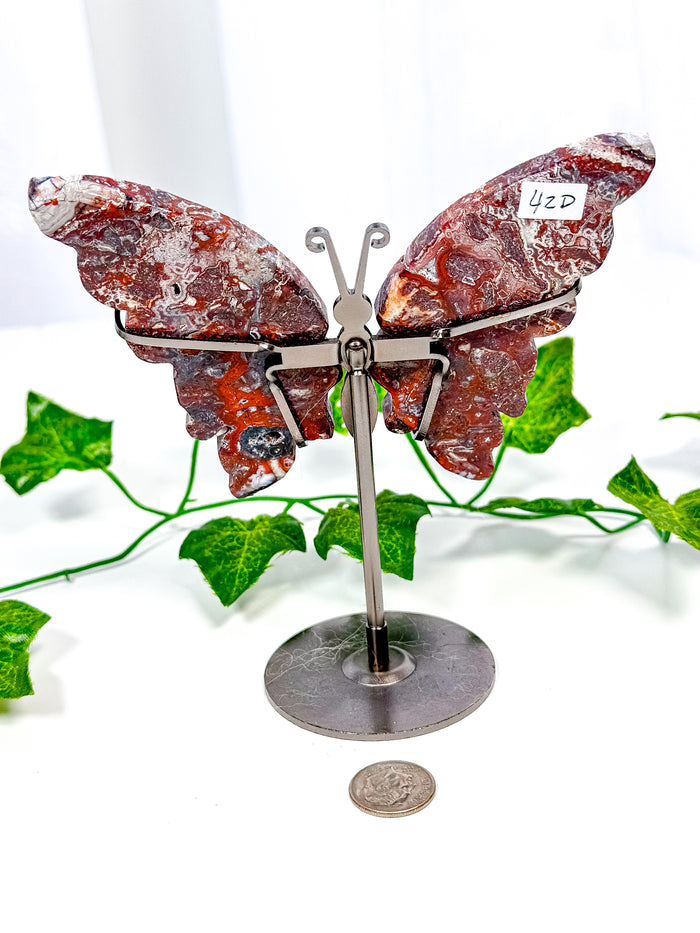 Mexican Crazy Lace Agate Butterfly on Stand (42D)