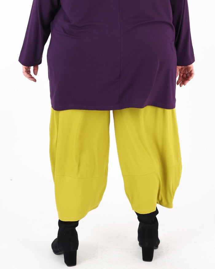 Pantalon Paul Kiwi - G!Ozé