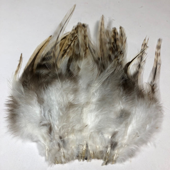 Saltwater Saddle Hackle