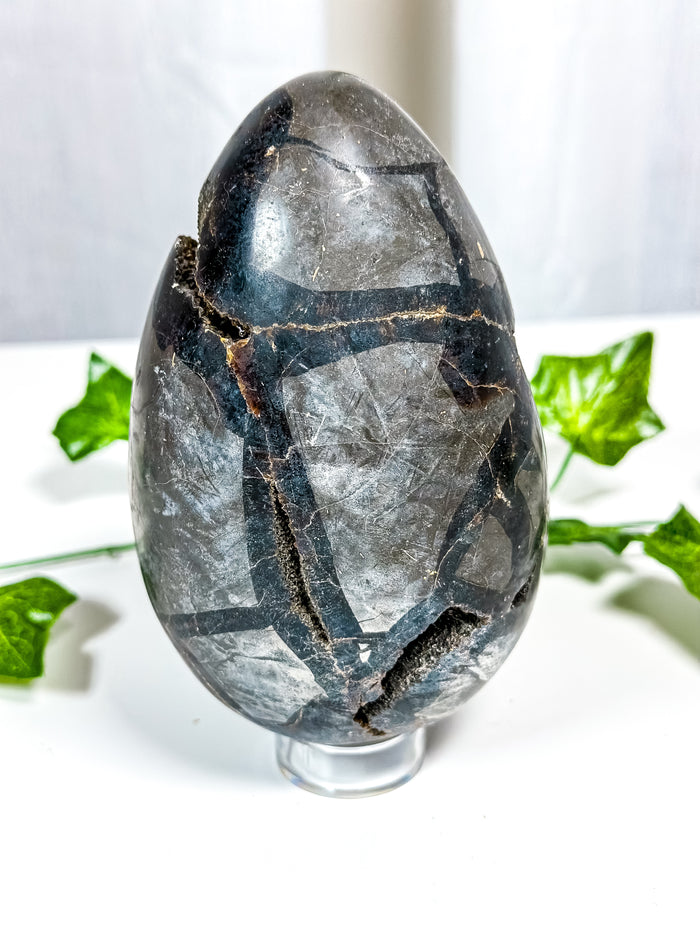 Septarian Geode Egg (30A)
