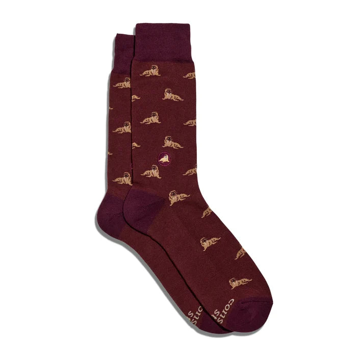Protect Walruses
