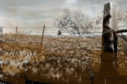 Texas Spring II