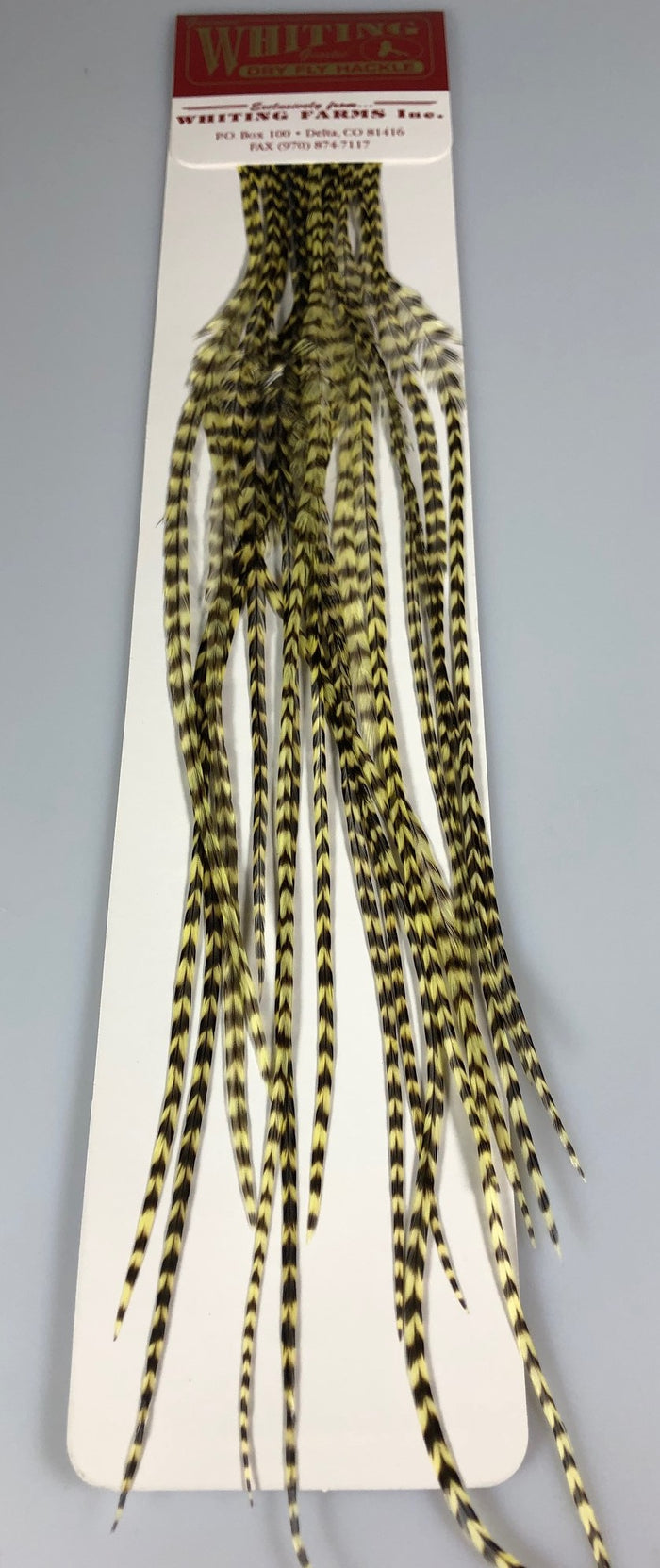 Grizzly dyed Pale Yellow
