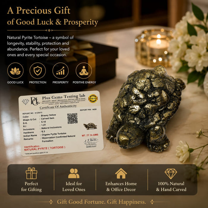 ANS BILLION Natural Pyrite Tortoise for Home &amp; Office Decor
