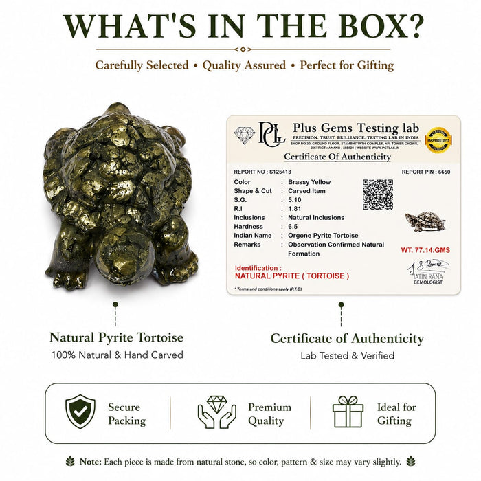 ANS BILLION Natural Pyrite Tortoise for Home &amp; Office Decor