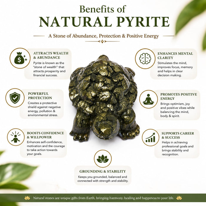 ANS BILLION Natural Pyrite Tortoise for Home &amp; Office Decor