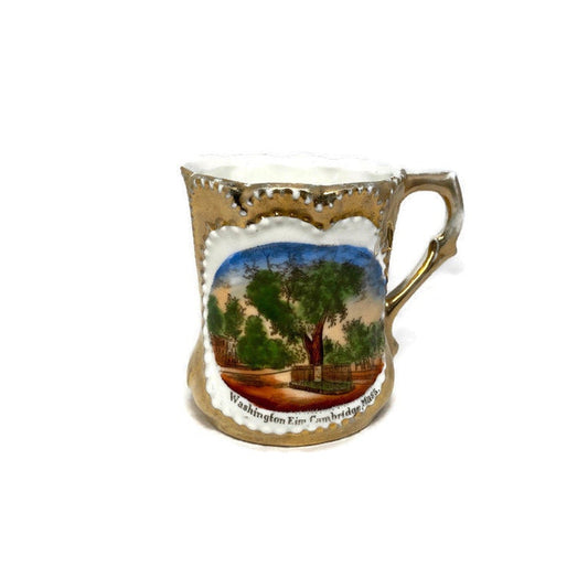 Antique Cambridge Massachusetts Souvenir German Porcelain Cup at Duckwells