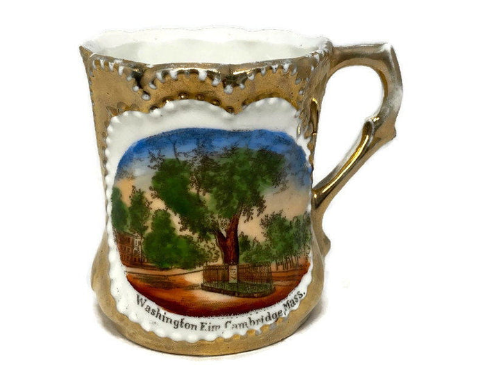 Antique Cambridge Massachusetts Souvenir German Porcelain Cup at Duckwells