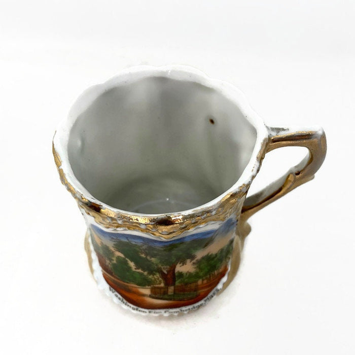 Antique Cambridge Massachusetts Souvenir German Porcelain Cup at Duckwells