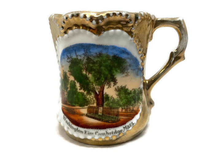 Antique Cambridge Massachusetts Souvenir German Porcelain Cup at Duckwells