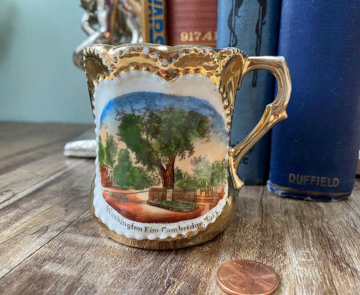 Antique Cambridge Massachusetts Souvenir German Porcelain Cup at Duckwells