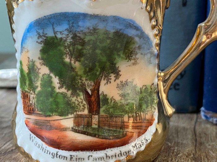 Antique Cambridge Massachusetts Souvenir German Porcelain Cup at Duckwells