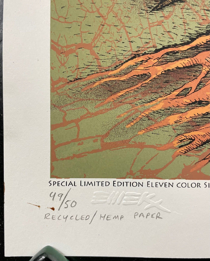 AUCTION - Ween Flaming Lips - Morrison '06 - Emek - 1st Edition - Excellent