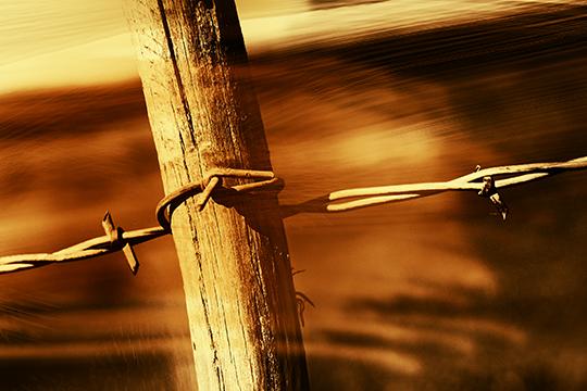 Barbed