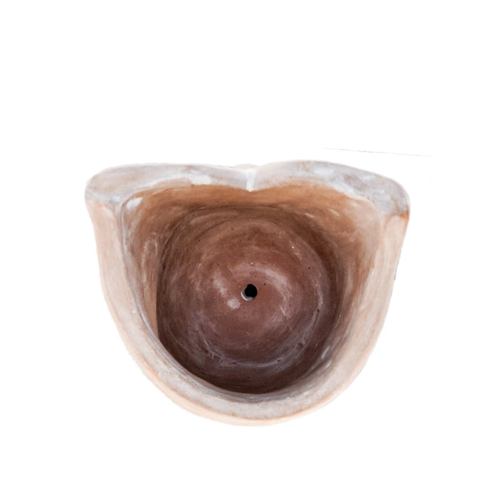 Big Eye Owl Terracotta Pot