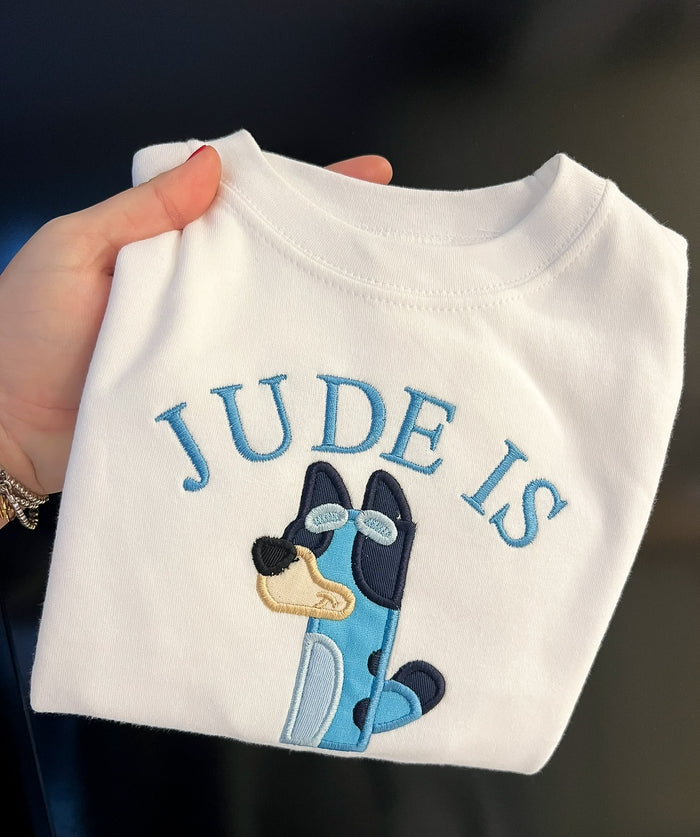 Bluey Inspired Number Sets