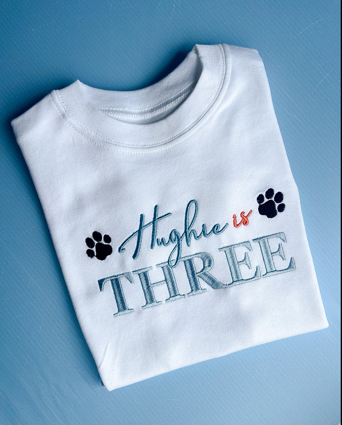 Bluey/Paw Patrol inspired birthday tshirt