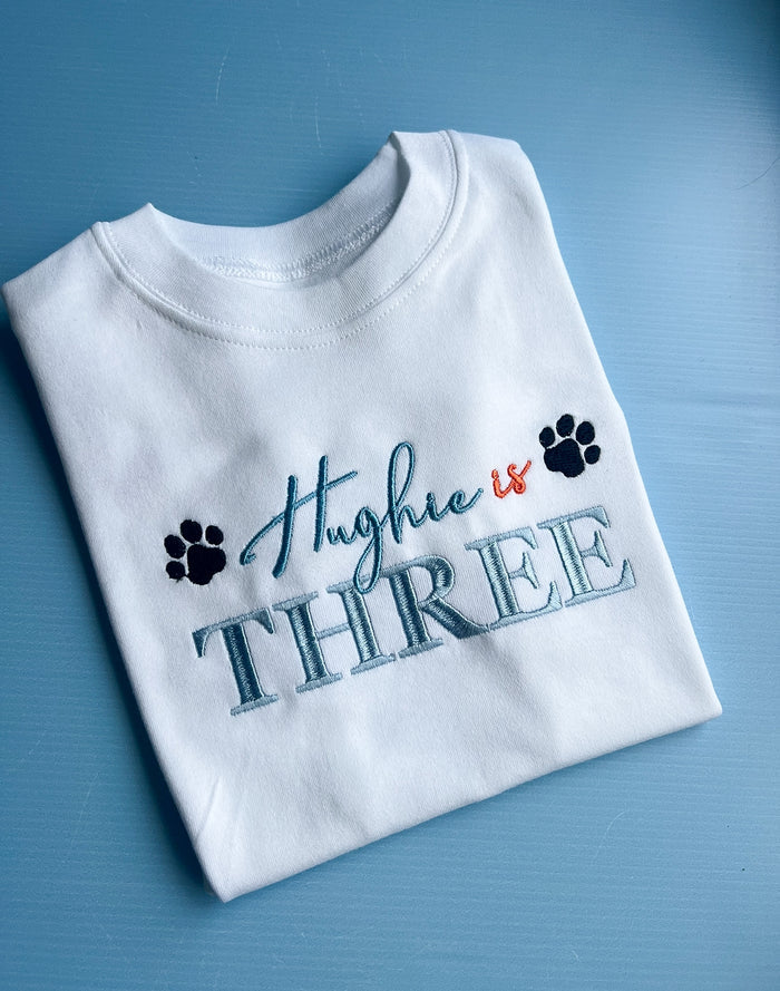 Bluey/Paw Patrol inspired birthday tshirt