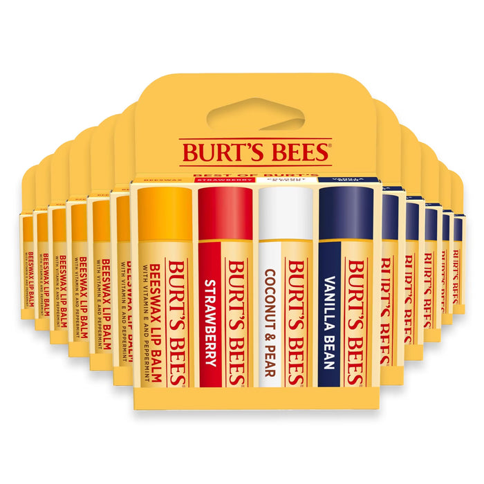 Burt’s Bees Moisturizing Lip Balm 0.15 oz - 4 Ct - 12 Pack