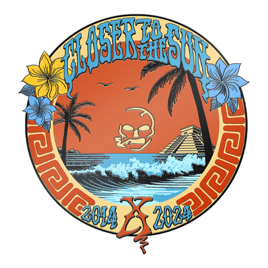 Closer to the Sun 2024 X Pin