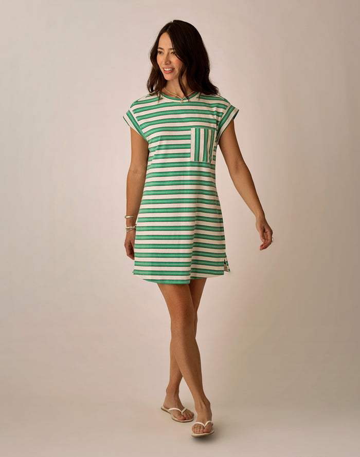 Cosmo Dress: Grass Navy Stripe