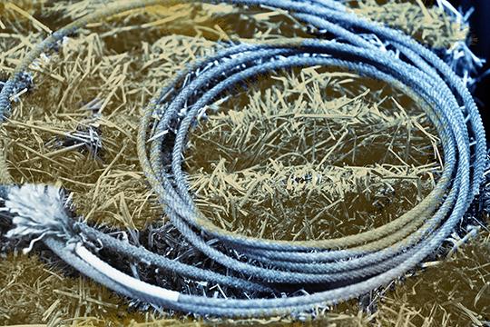 Cowboy's Rope