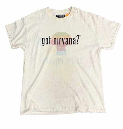 Disrupting Nirvana "Got Nirvana" Tee