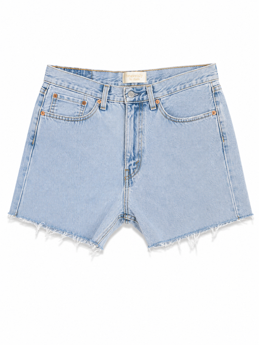Disturbing Nirvana Womens Denim Shorts