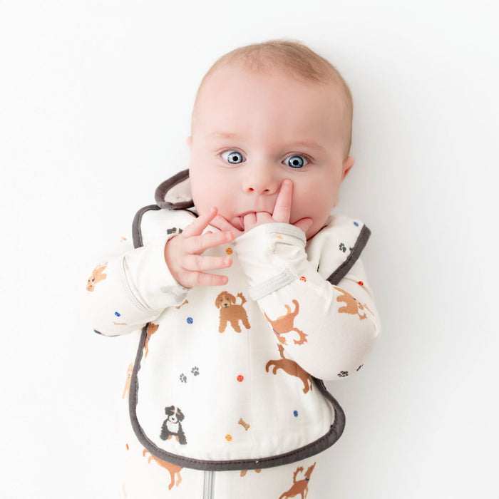 Dogs Bib Set