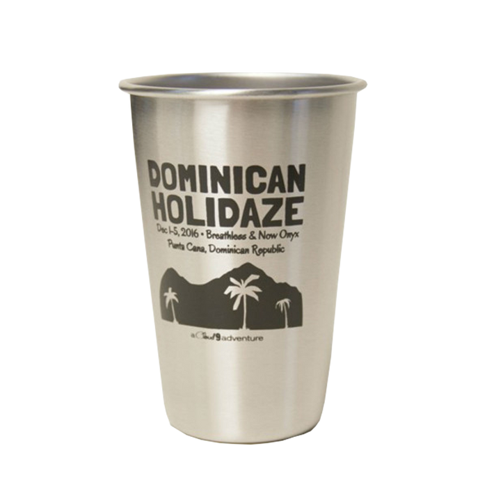 Dominican Holidaze 2016 Steel Pint