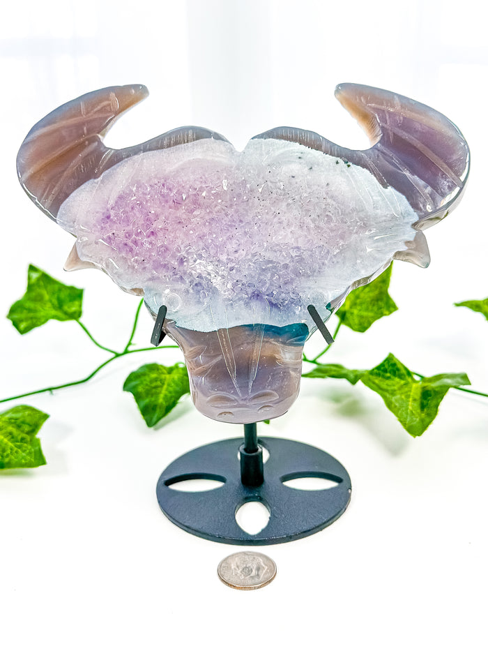 Druzy Amethyst Agate Bull on Stand (55L)