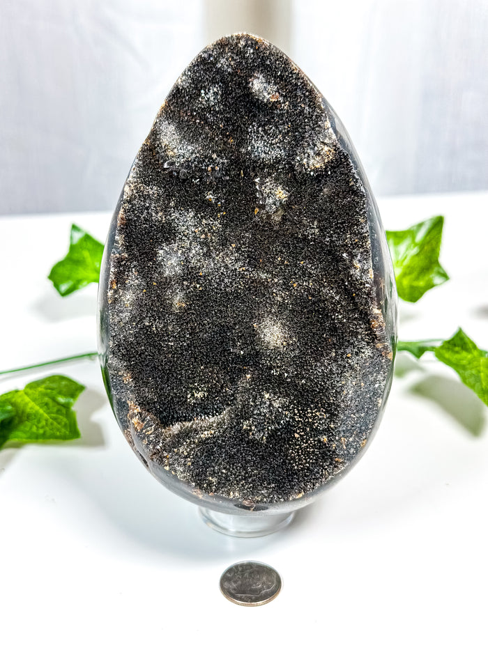 Druzy Septarian Geode Egg (85B)