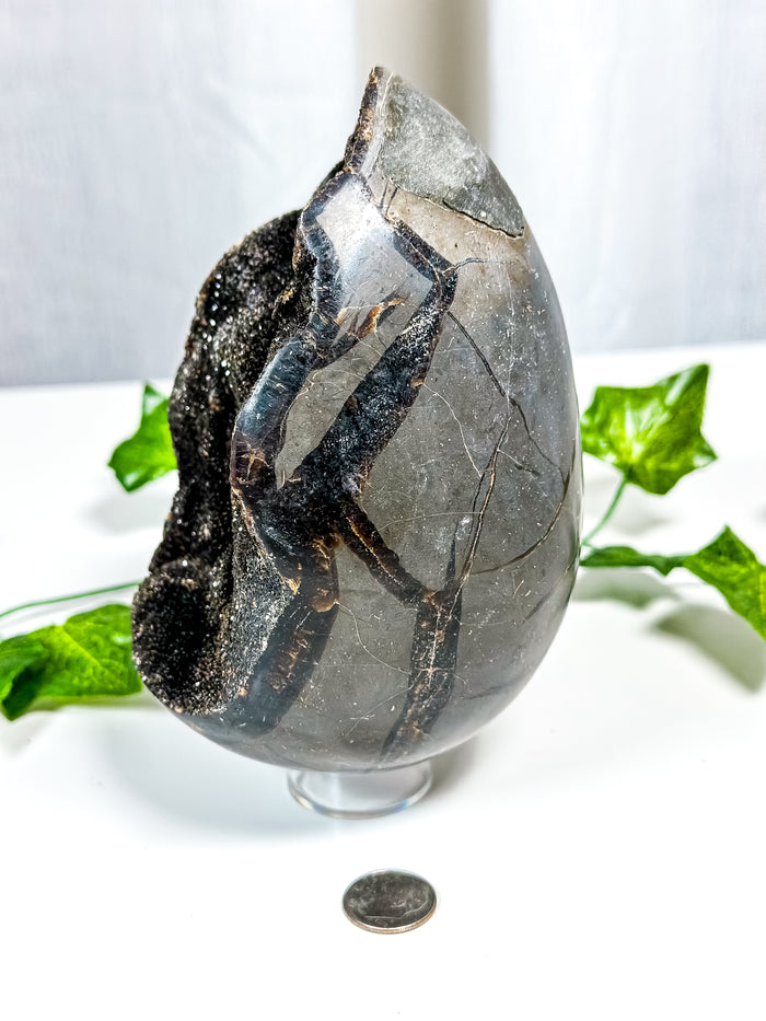 Druzy Septarian Geode Egg (85B)