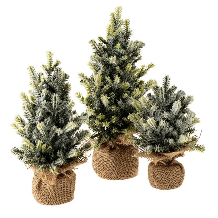 Flocked Pine Spruce Tree