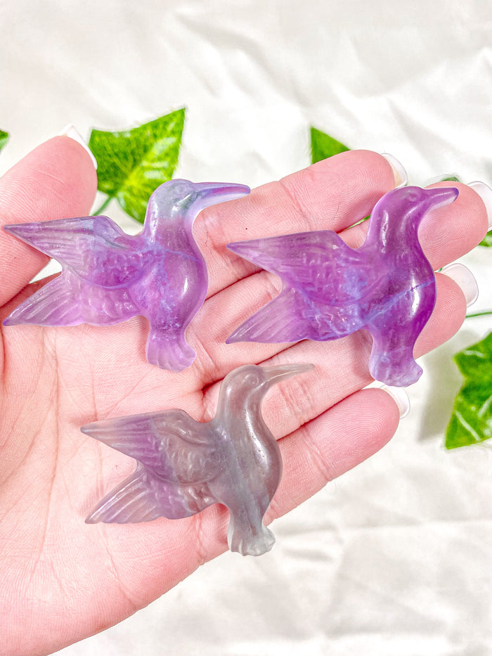 Fluorite Humming Bird