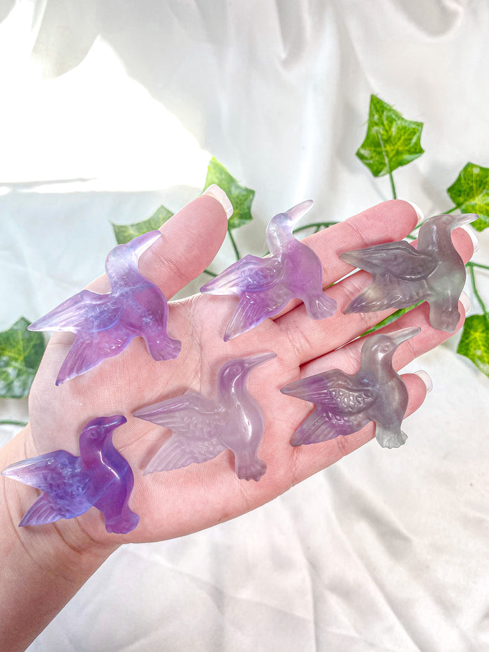 Fluorite Humming Bird
