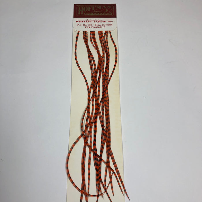 Hoffman Saddle Hackle Pack by Whiting Farms