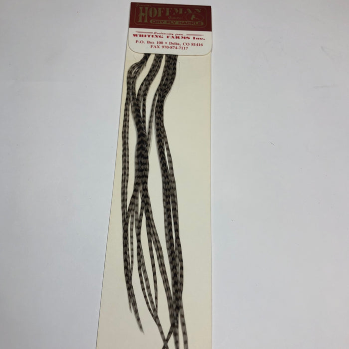 Hoffman Saddle Hackle Pack by Whiting Farms