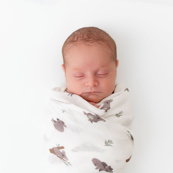 Koala Swaddle