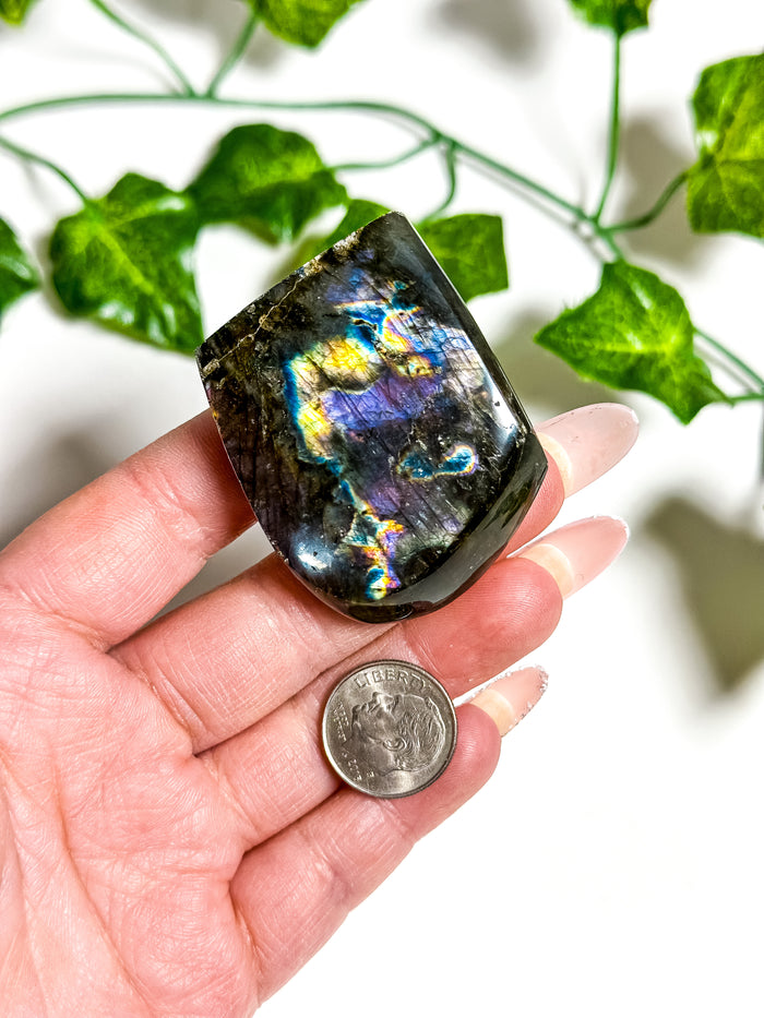 Labradorite Freeform (12C)