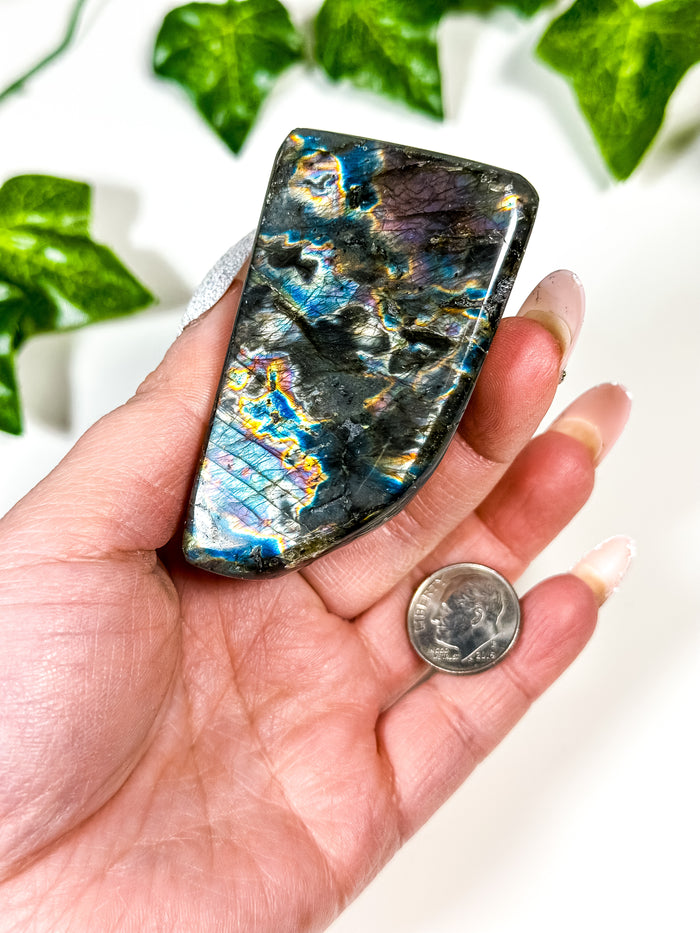 Labradorite Freeform (22E)