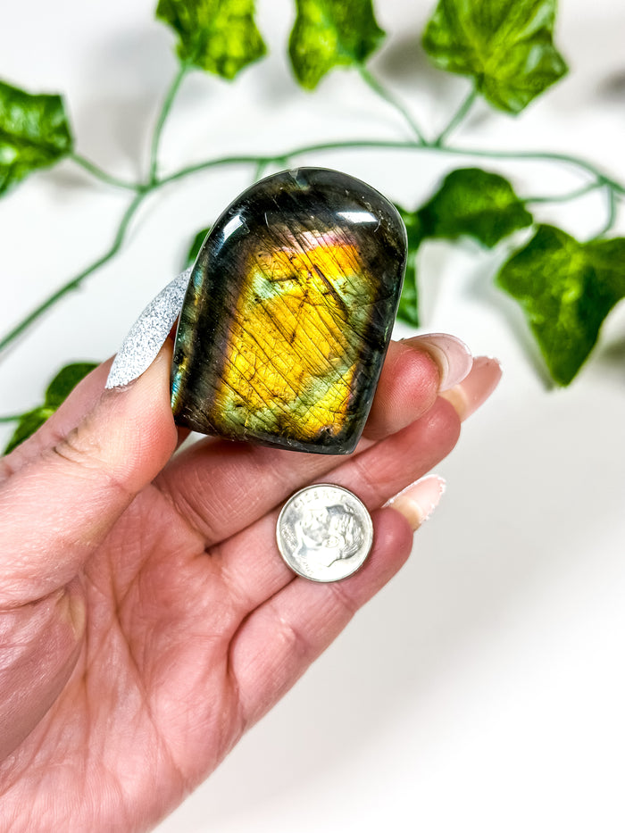 Labradorite Freeform (28B)