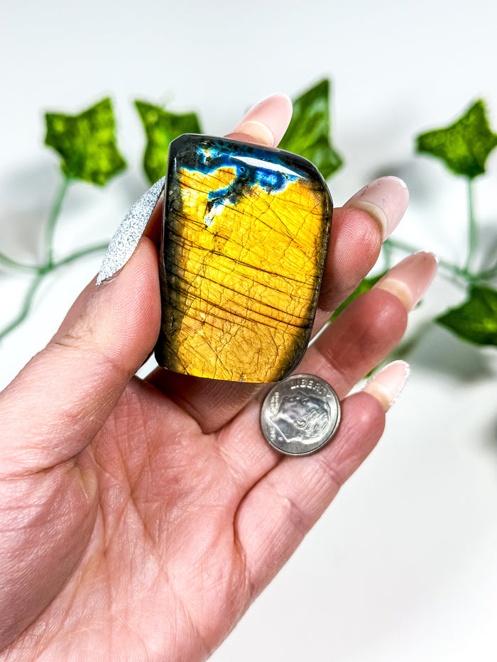 Labradorite Freeform (28C)