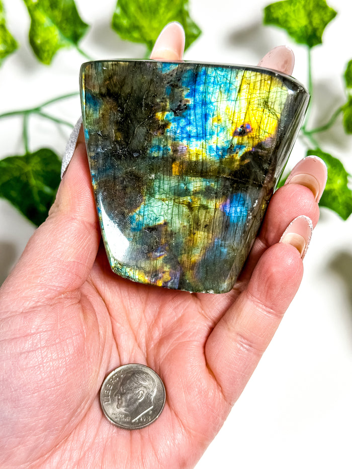 Labradorite Freeform (40C)