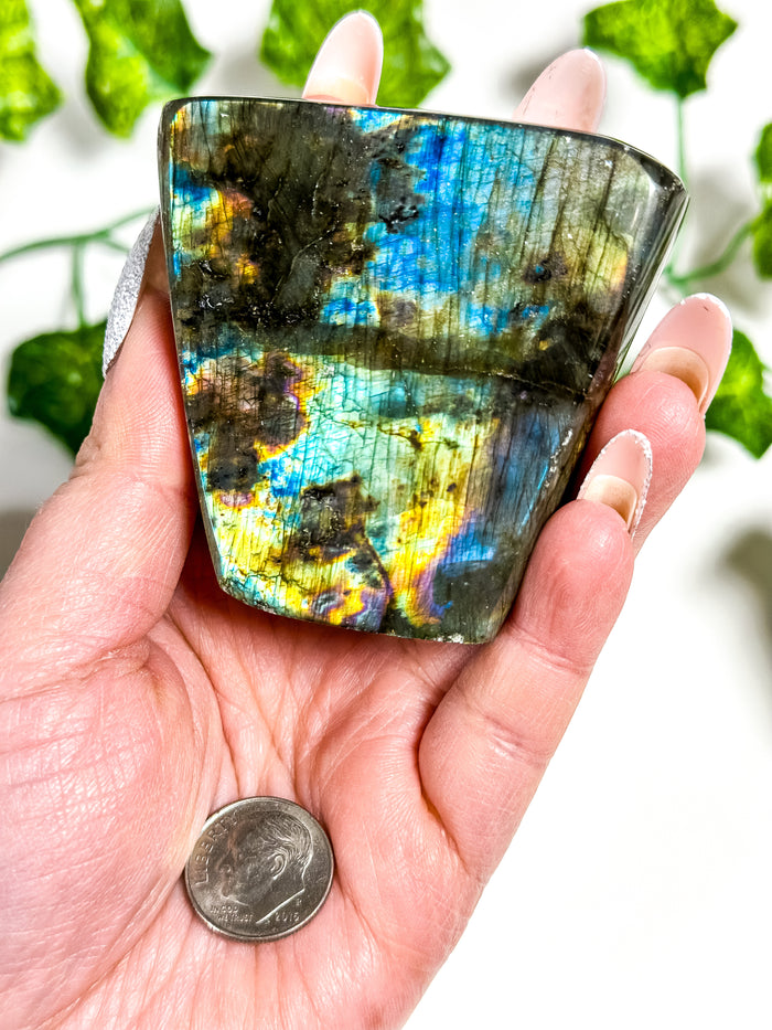 Labradorite Freeform (40C)