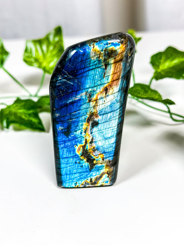 Labradorite Freeform (42B)